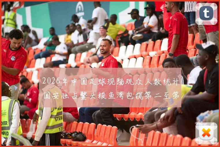2026年中国足球现场观众人数统计国安独占鳌头梭鱼湾包揽第二至第七位